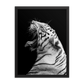 White Tiger Roar - Framed Poster