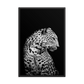 White Panther - Framed Poster