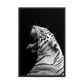 White Tiger Roar - Framed Poster