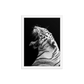 White Tiger Roar - Framed Poster