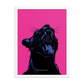 Velvet Puma - Framed Poster