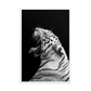 White Tiger Roar - Framed Poster