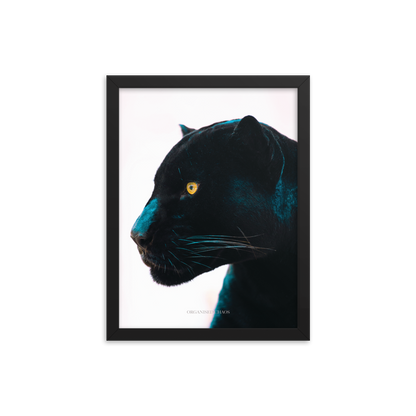 Black Panther - Framed Poster