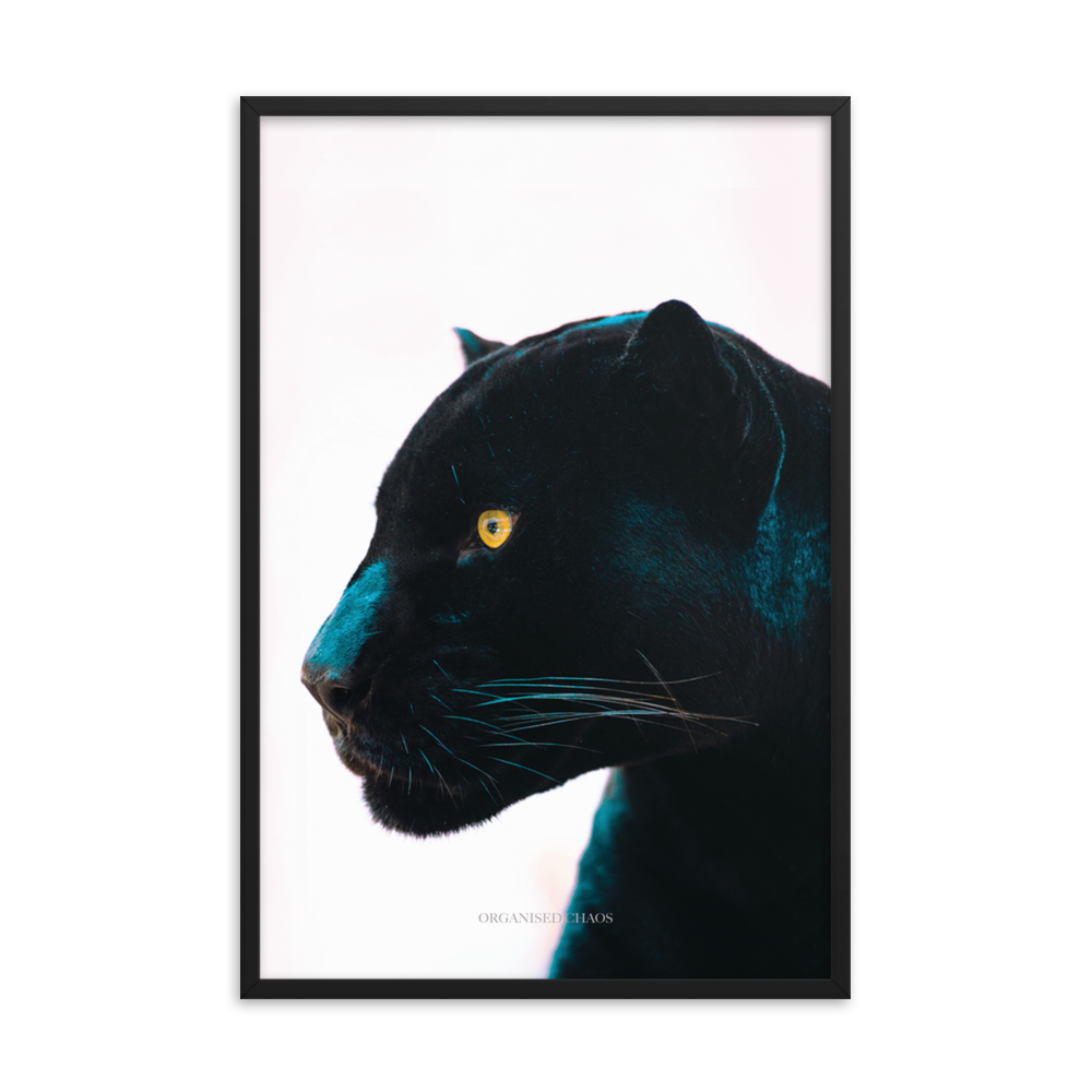 Black Panther - Framed Poster