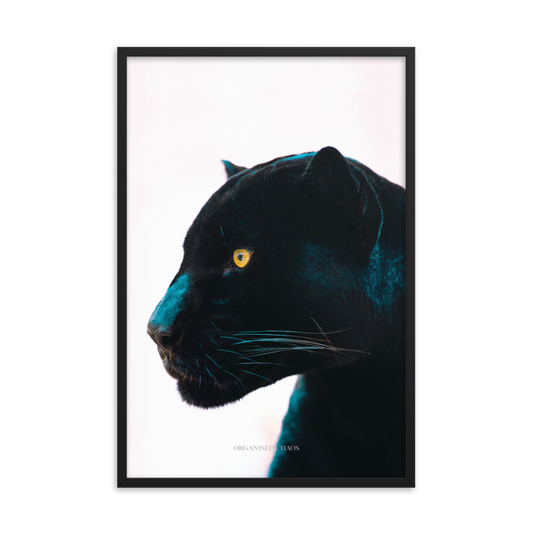 Black Panther Framed Poster