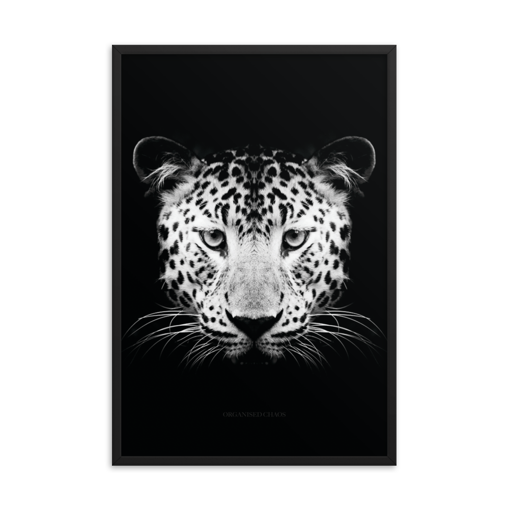 Leopard - Framed Poster