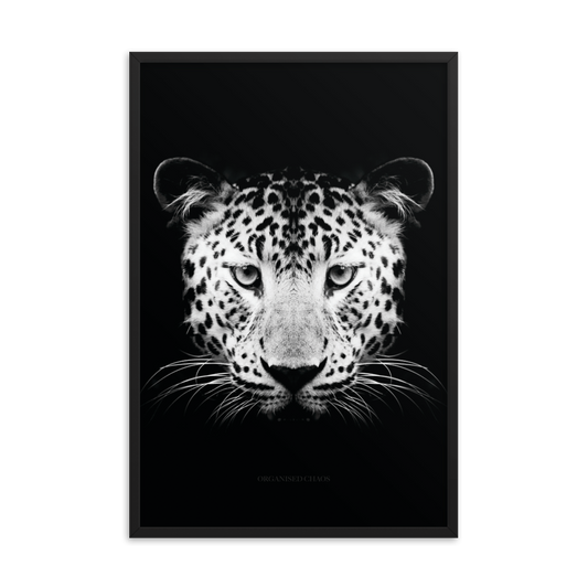 Leopard Framed Poster