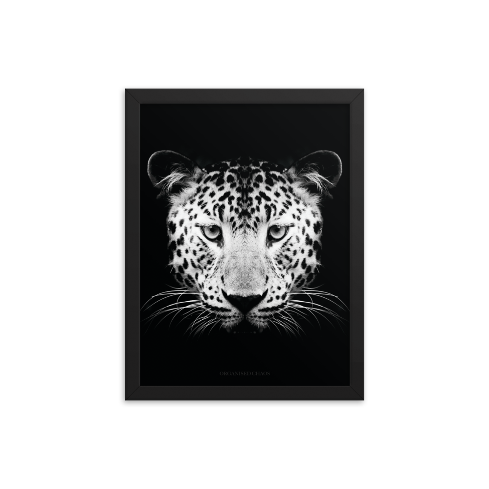 Leopard - Framed Poster