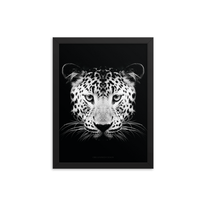 Leopard - Framed Poster