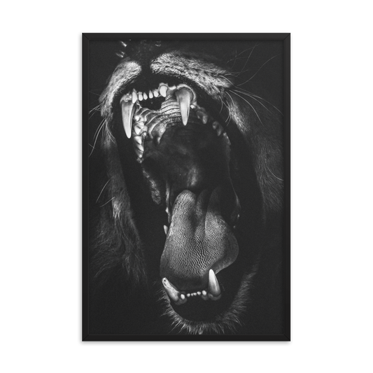 Lion Roar Framed Poster