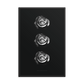 White Roses - Framed Poster